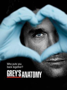 <span style='color:red'>实习</span>医生格蕾 第九季 Grey's Anatomy Season 9