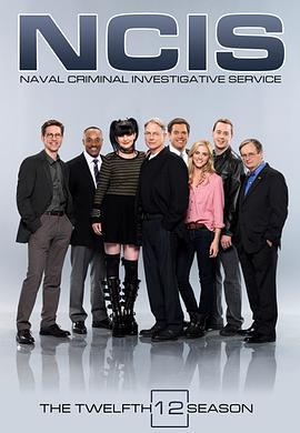 海军罪案调查处 第十二季 NCIS: Naval Criminal Investigative <span style='color:red'>Service</span> Season 12