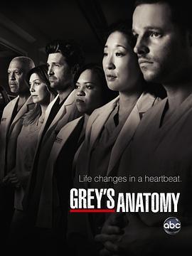 <span style='color:red'>实习</span>医生格蕾 第七季 Grey's Anatomy Season 7