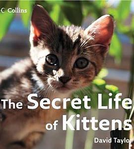 小喵的秘密 第一季 The Secret Life of Kittens Season 1