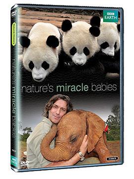 大自然的神奇宝贝 Nature's Miracle Babies