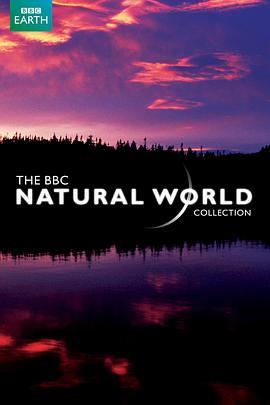 BBC自然世界：求偶游戏 The Natural World: The mating game