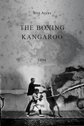 <span style='color:red'>拳</span><span style='color:red'>击</span>袋鼠 The Boxing Kangaroo