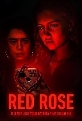 红玫瑰 Red Rose