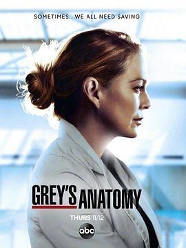 实习医生格蕾 第十七季 Grey's Anatomy Season <span style='color:red'>17</span>