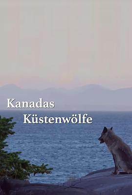 海岸狼群 Kanadas Küstenwölfe