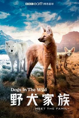 野犬家族 Dogs in the Wild: Meet the Family