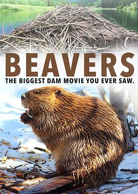 海狸 Beavers