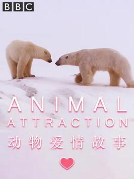 动物爱情故事 Natural World: Animal Attr<span style='color:red'>action</span>