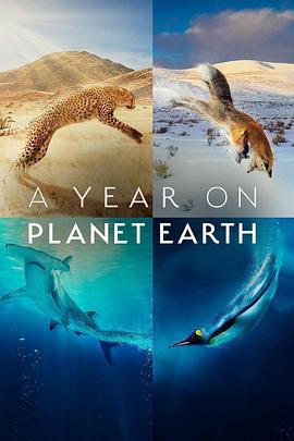 地球上的一年 A <span style='color:red'>Year</span> on Planet Earth