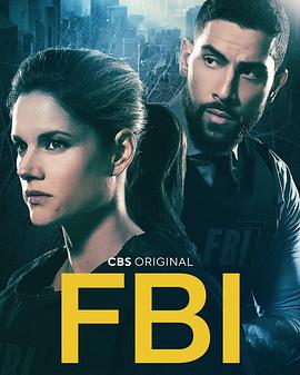 联邦调查局 第四季 <span style='color:red'>FBI</span> Season 4