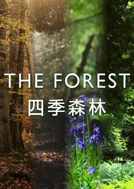 四季森林 第一季 The Forest Season 1