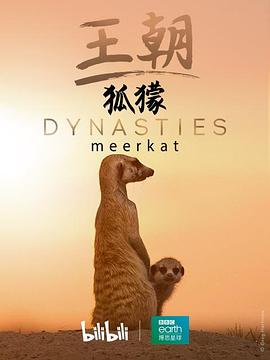 <span style='color:red'>王朝</span>：狐獴特辑 Dynasties: Meerkat Special