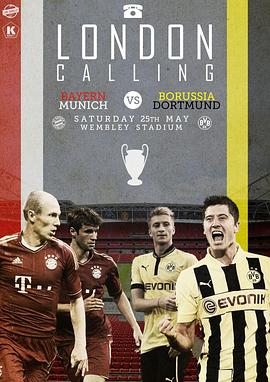 12/13赛季欧洲冠军杯决赛 Final Borussia Dortmund vs B<span style='color:red'>ayer</span>n Munich