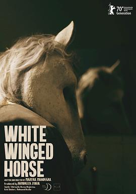 白翼马 White Winged Horse