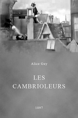 <span style='color:red'>窃</span>贼 Les cambrioleurs