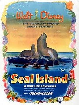 海豹岛 Seal Island