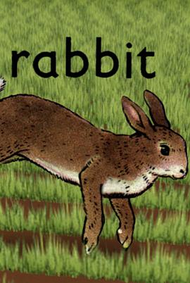 兔 Rabbit
