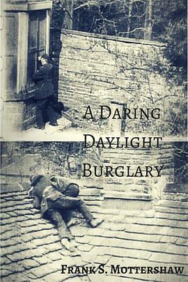 光天化<span style='color:red'>日下</span>的盗贼 Daring Daylight Burglary