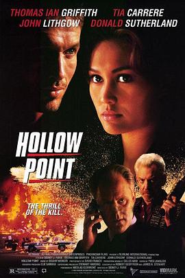 危机风暴 Hollow Point