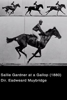 飞驰中的萨利·加德纳 Sal<span style='color:red'>lie</span> Gardner at a Gallop