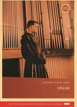 管风<span style='color:red'>琴</span> Organ