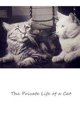 猫的私生活 The Private Life of a Cat