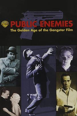 公众之敌：黑帮电影的黄金<span style='color:red'>时代</span> Public Enemies: The Golden Age of the Gangster Film