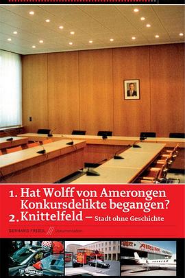 亚梅龙根犯了破产罪？ Hat Wolff <span style='color:red'>von</span> Amerongen Konkursdelikte begangen?