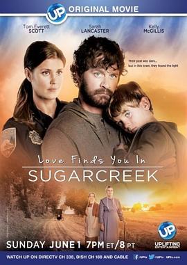 甜蜜湾之恋 Love Finds You in Sugarcreek