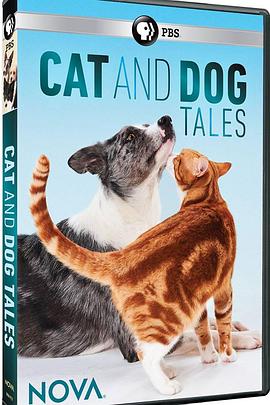 猫的故事 cat tales