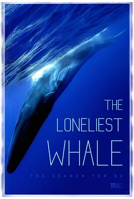 最孤独的鲸：寻找52 The Loneliest Whale: The Search for 52