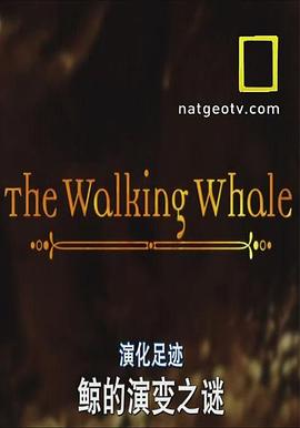 <span style='color:red'>国家地理</span>-演化足迹：陆上行鲸 National Geographic Evolutions The Walking Whale