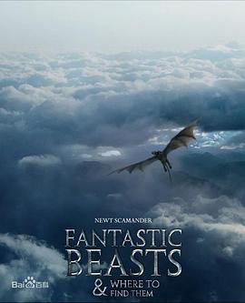 神奇动物在哪里4 Fantastic Beasts and Where to Find Them 4