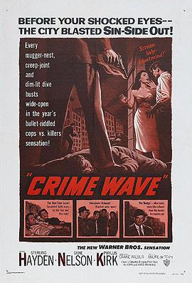 警网重重 Crime Wave