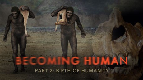 人类<span style='color:red'>进化</span>2：生而为人 Becoming Human: Birth of Humanity