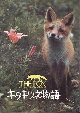 狐狸的故事 キタキツネ物語
