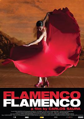 弗拉门戈，弗拉门戈 Flamenco, Flamenco