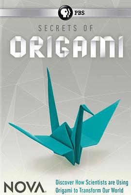 <span style='color:red'>折</span>纸革命 Nova - The Origami Revolution