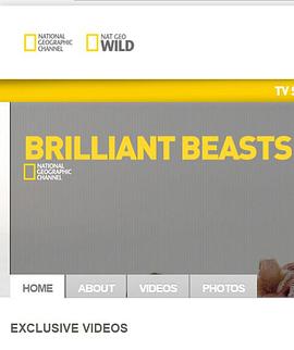 <span style='color:red'>国家地理</span>.动物天才.狗 National Geographic Brilliant Beasts Dog Genius