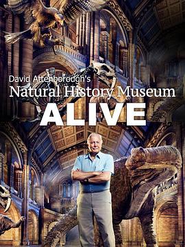爱丁保罗夫爷爷的<span style='color:red'>博物</span>馆奇妙夜 David Attenborough's Natural History Museum Alive