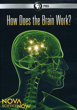 PBS新星今日科学<span style='color:red'>系列</span> 大脑的奥秘 Nova ScienceNow: How Does the Brain Work?
