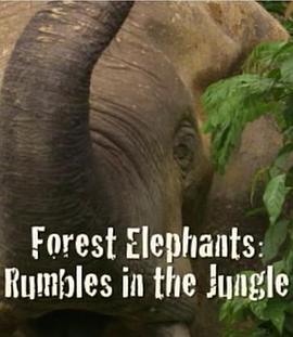 BBC自然世界：森林大象 <span style='color:red'>Forest</span> Elephants - Rumbles in the Jungle