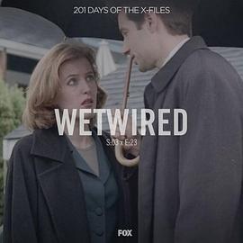 The X Files - <span style='color:red'>Season</span> 3, Episode 23: Wetwired