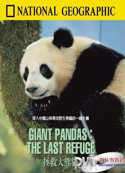 拯救大熊猫 Giant Pandas - The Last <span style='color:red'>Refuge</span>