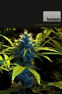 BBC 地平线系列：大麻：<span style='color:red'>罪恶</span>之种？ BBC Horizon: Cannabis: The Evil Weed?