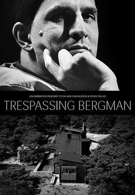 打扰伯格曼 Trespassing <span style='color:red'>Bergman</span>