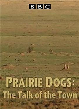 自然世界 草原土拨鼠：语言大师 Natural World: Prairie Dogs - <span style='color:red'>Talk</span> of the Town