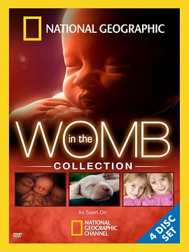子宫日记 In the Womb