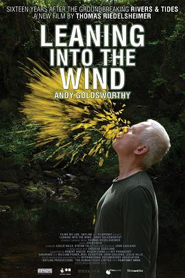 <span style='color:red'>投身</span>风中 Leaning Into the Wind: Andy Goldsworthy